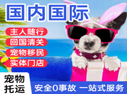 阿尔山伊尔施空运公司国际宠物托运 【国